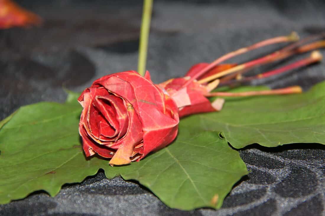 maple leaves folded into form of a rose