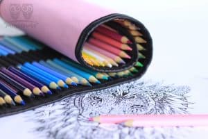 coloring books for adults