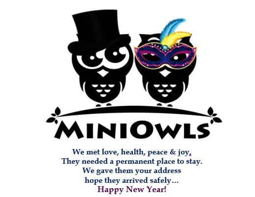 new year with miniowls