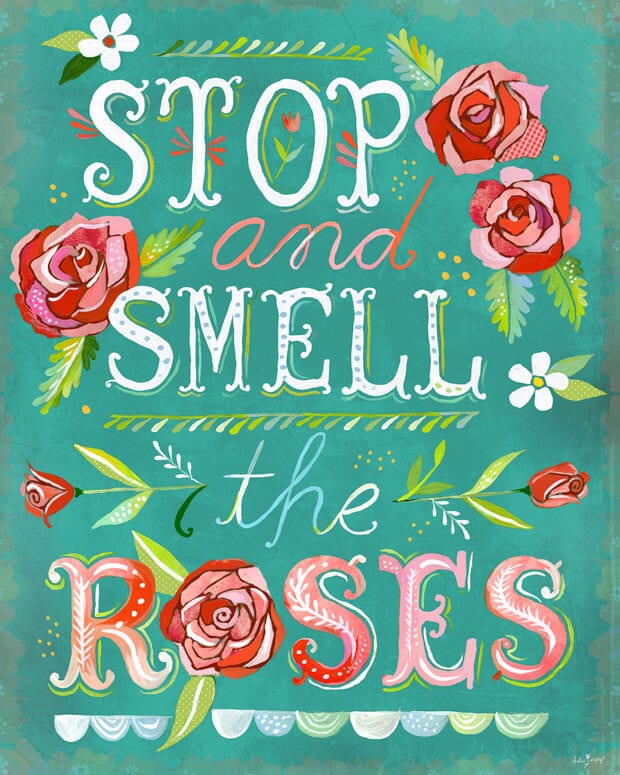 stop ans smell the roses