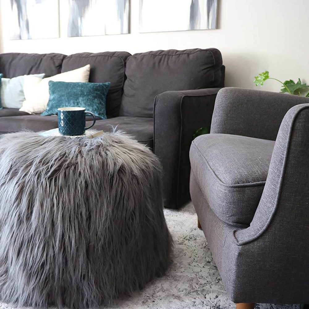 Gray Furry Bean Bag living room