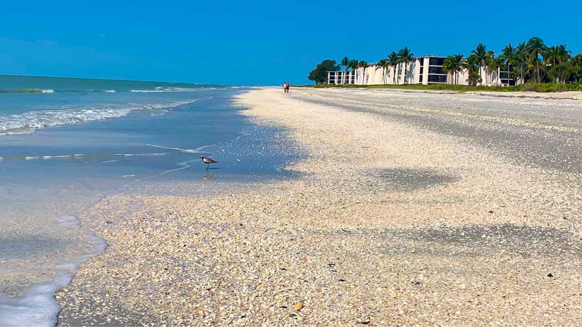Sanibel Island–Florida