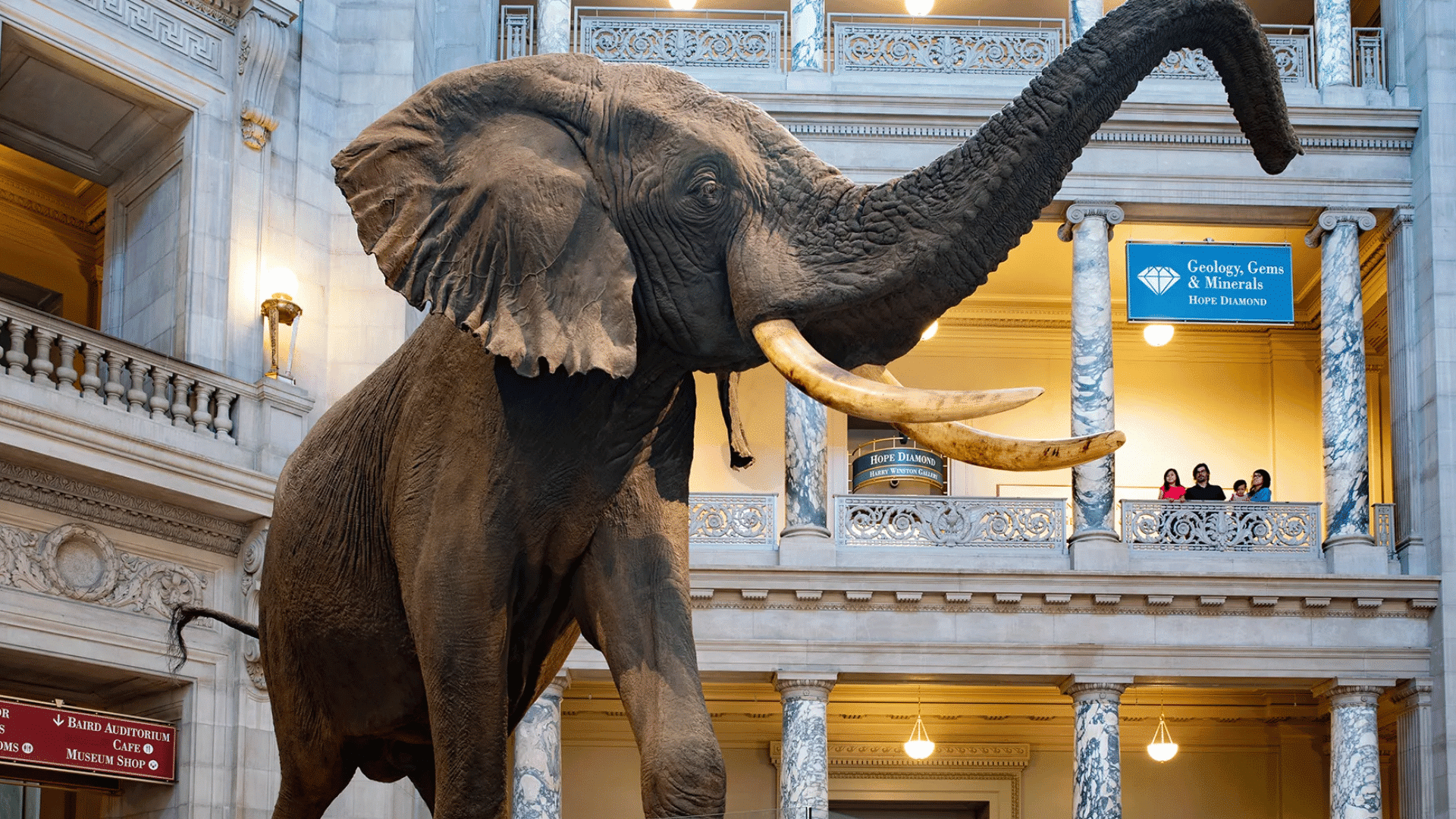 Smithsonian Museums–Washington D.C.