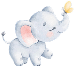 cute elephant